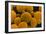 SEM of Yeast Cells-Dr. Jeremy Burgess-Framed Photographic Print