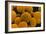 SEM of Yeast Cells-Dr. Jeremy Burgess-Framed Photographic Print