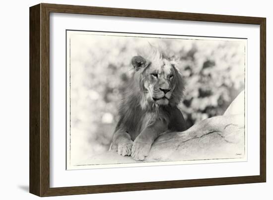 _SEM9134_4390-Gordon Semmens-Framed Giclee Print