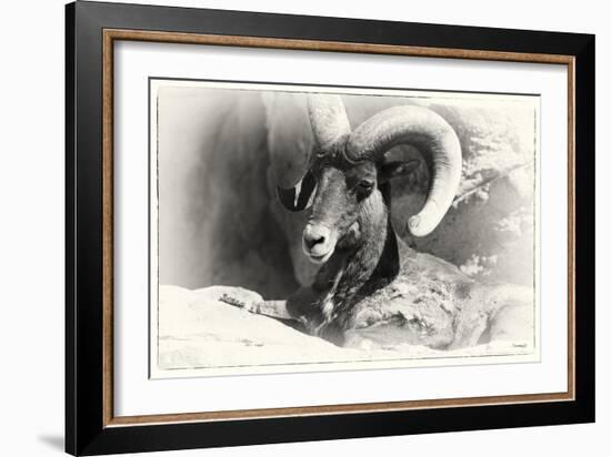 _SEM9161_4417-Gordon Semmens-Framed Giclee Print