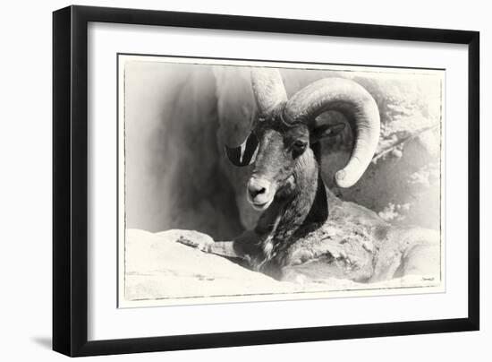 _SEM9161_4417-Gordon Semmens-Framed Giclee Print