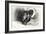 _SEM9161_4417-Gordon Semmens-Framed Giclee Print