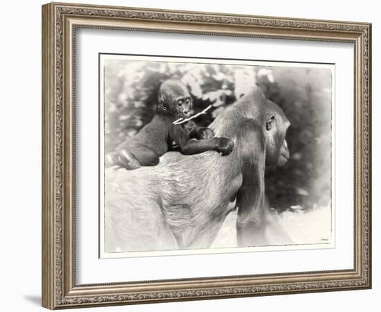 _SEM9218_4474-Gordon Semmens-Framed Giclee Print