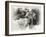 _SEM9218_4474-Gordon Semmens-Framed Giclee Print