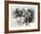 _SEM9218_4474-Gordon Semmens-Framed Giclee Print