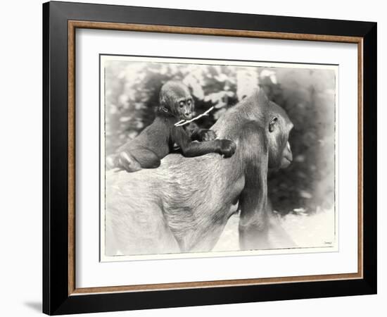 _SEM9218_4474-Gordon Semmens-Framed Giclee Print