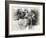 _SEM9218_4474-Gordon Semmens-Framed Giclee Print