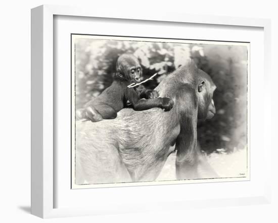 _SEM9218_4474-Gordon Semmens-Framed Giclee Print