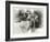 _SEM9218_4474-Gordon Semmens-Framed Giclee Print