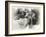 _SEM9218_4474-Gordon Semmens-Framed Giclee Print