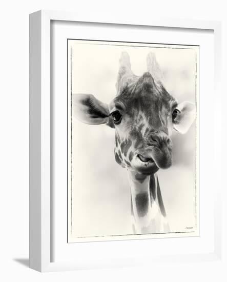 _SEM9305_4561-Gordon Semmens-Framed Giclee Print