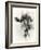 _SEM9305_4561-Gordon Semmens-Framed Giclee Print