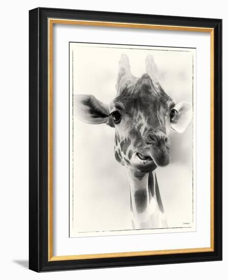 _SEM9305_4561-Gordon Semmens-Framed Giclee Print