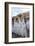 Semana Santa Fiesta, Easter, Seville, Andalusia, Spain-Peter Adams-Framed Photographic Print