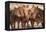 Semi-wild Mongolian horses keeping close in the Mongolian steppes, Mongolia, Central Asia, Asia-Frederic Courbet-Framed Premier Image Canvas