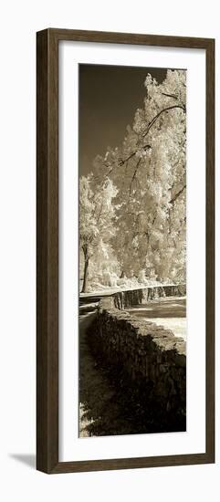 Seminary Wall Panel-Alan Hausenflock-Framed Photographic Print