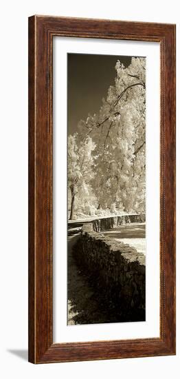 Seminary Wall Panel-Alan Hausenflock-Framed Photographic Print