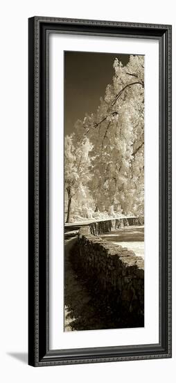 Seminary Wall Panel-Alan Hausenflock-Framed Photographic Print