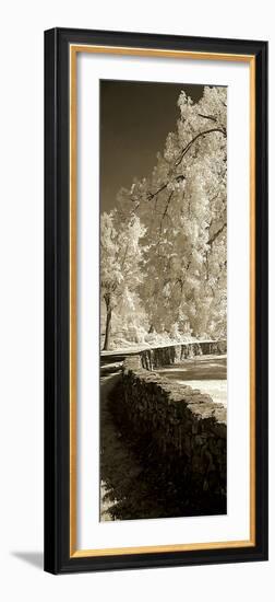 Seminary Wall Panel-Alan Hausenflock-Framed Photographic Print