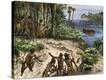 Stretched Canvas Print