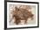 Semionotus Fish Fossil at Dinosaur Discovery, Johnson Farm, St. George, Utah-Michael DeFreitas-Framed Photographic Print
