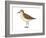 Semipalmated Sandpiper (Calidris Pusilla), Birds-Encyclopaedia Britannica-Framed Art Print