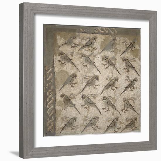 Semis de perroquets enrubannés (fragment de mosaïque de pavement)-null-Framed Giclee Print