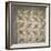 Semis de perroquets enrubannés (fragment de mosaïque de pavement)-null-Framed Giclee Print