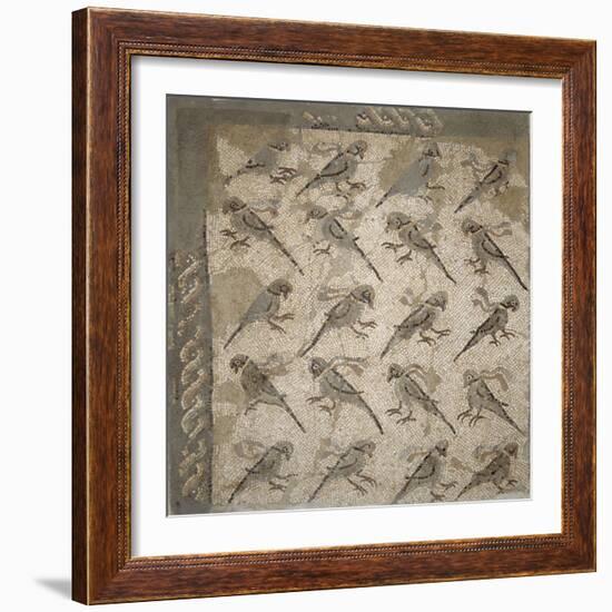 Semis de perroquets enrubannés (fragment de mosaïque de pavement)-null-Framed Giclee Print