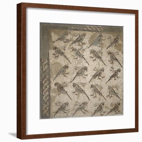 Semis de perroquets enrubannés (fragment de mosaïque de pavement)-null-Framed Giclee Print