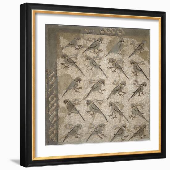 Semis de perroquets enrubannés (fragment de mosaïque de pavement)-null-Framed Giclee Print