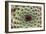 Sempervivum Calcareum-Dr. Keith Wheeler-Framed Photographic Print