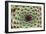 Sempervivum Calcareum-Dr. Keith Wheeler-Framed Photographic Print