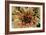 Sempervivum Royal Ruby-Erin Berzel-Framed Photographic Print