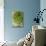 Sempervivum Succulent III-Erin Berzel-Photographic Print displayed on a wall
