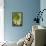 Sempervivum Succulent IV-Erin Berzel-Framed Premier Image Canvas displayed on a wall