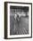 Sen. Leverett Saltonstall, Helping His Crew Members Carry the Canoe on Deck at Harvard-Yale Joel-Framed Photographic Print