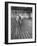 Sen. Leverett Saltonstall, Helping His Crew Members Carry the Canoe on Deck at Harvard-Yale Joel-Framed Photographic Print