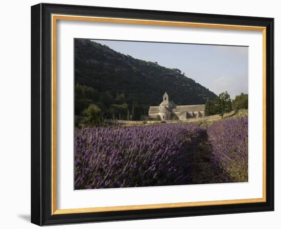 Senanque Abbey and Lavender Field, Vaucluse, Provence, France, Europe-Angelo Cavalli-Framed Photographic Print