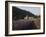 Senanque Abbey and Lavender Field, Vaucluse, Provence, France, Europe-Angelo Cavalli-Framed Photographic Print