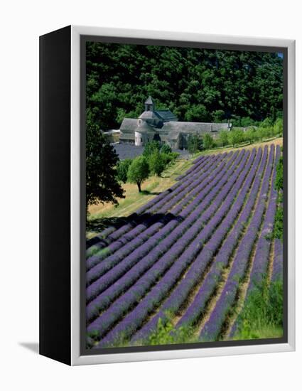 Senaque Abbey and Lavender Fields, Gordes, Provence, France-Steve Vidler-Framed Premier Image Canvas