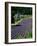 Senaque Abbey and Lavender Fields, Gordes, Provence, France-Steve Vidler-Framed Photographic Print