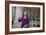 Senate Warren Breaking Rules-null-Framed Photographic Print