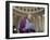 Senate Warren Breaking Rules-null-Framed Photographic Print