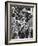 Senator Robert F. Kennedy Mobbed by Youthful Admirers During Campaign-Bill Eppridge-Framed Photographic Print