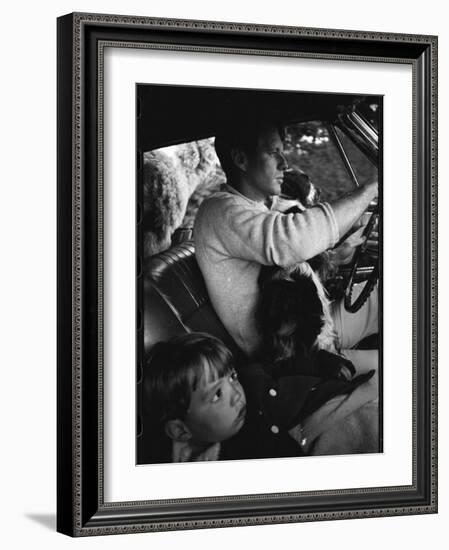 Senator Robert Kennedy Driving Car with Pet Springer Spaniel over His Lap and Son Max Beside Him-Bill Eppridge-Framed Photographic Print