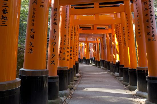 Senbon Torii 1 000 Torii Gates Fushimi Inari Taisha Shrine Kyoto Japan Photographic Print Stuart Black Art Com Senbon Torii 1 000 Torii Gates Fushimi Inari Taisha Shrine Kyoto Japan Photographic Print Stuart Black Art Com