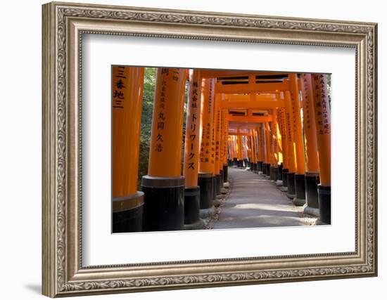 Senbon Torii (1,000 Torii Gates), Fushimi Inari Taisha Shrine, Kyoto, Japan-Stuart Black-Framed Photographic Print