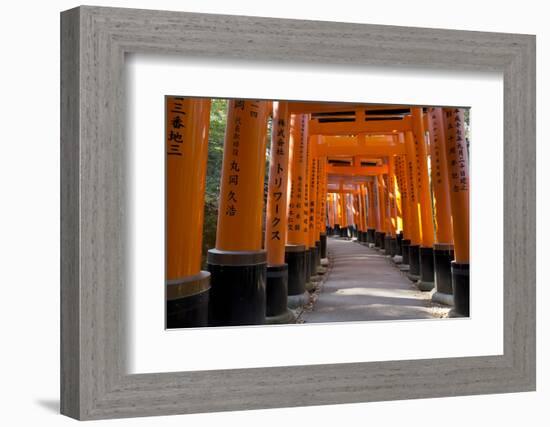 Senbon Torii (1,000 Torii Gates), Fushimi Inari Taisha Shrine, Kyoto, Japan-Stuart Black-Framed Photographic Print