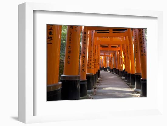 Senbon Torii (1,000 Torii Gates), Fushimi Inari Taisha Shrine, Kyoto, Japan-Stuart Black-Framed Photographic Print